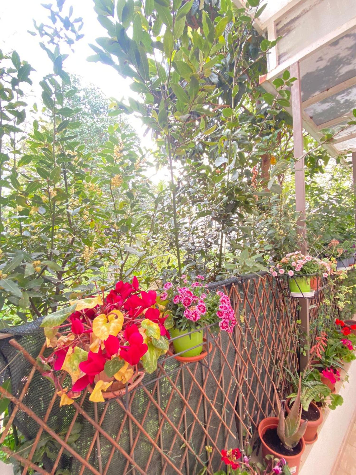 Esplora Sassi Bed and Breakfast Ματέρα Εξωτερικό φωτογραφία